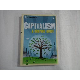 INTRODUCING CAPITALISM A GRAPHIC GUIDE - DAN CRYAN SHARRON SHATIL & PIERO